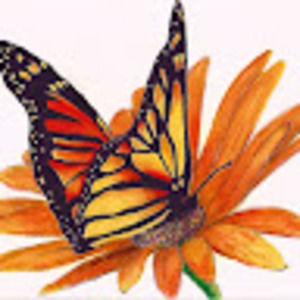 Meet your Posher, Serena